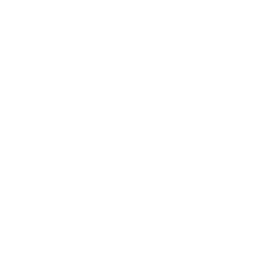 Ragnetiq